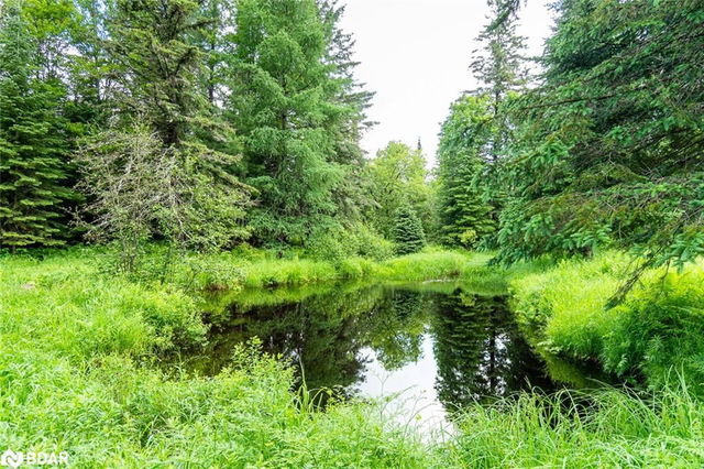 365 Clearwater Lake Road