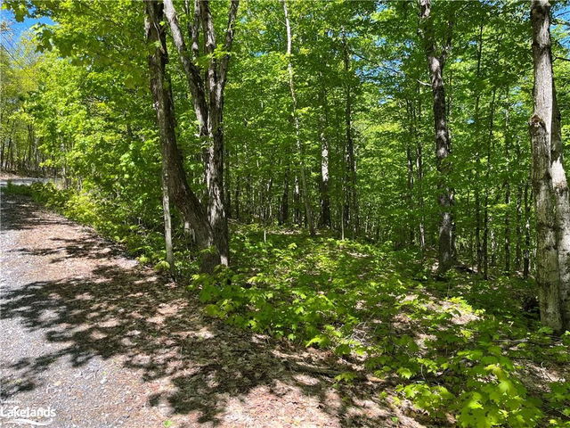 LOT 40 Sunset Ridge