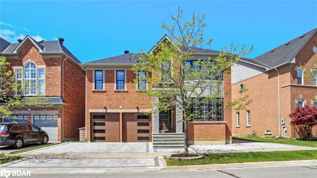 54 Alpaca Street