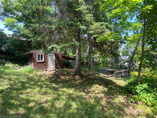 16 Cora Street