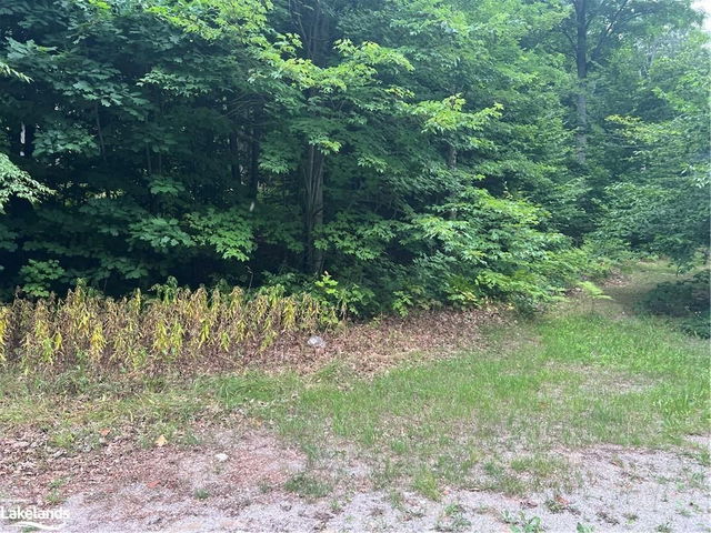 154 Farlain Lake Road