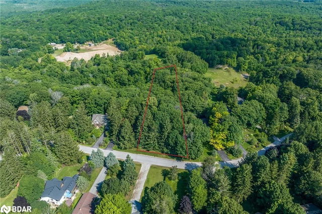 55 Cathedral Pines Road
