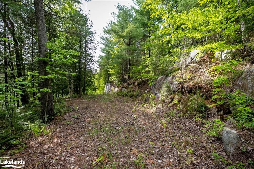 Residential sold at 215 Charlie's Lane, Utterson, ON, P0B 1M0 - Stephenson - MLS: 40585053