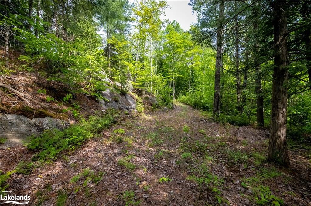 Residential sold at 215 Charlie's Lane, Utterson, ON, P0B 1M0 - Stephenson - MLS: 40585053
