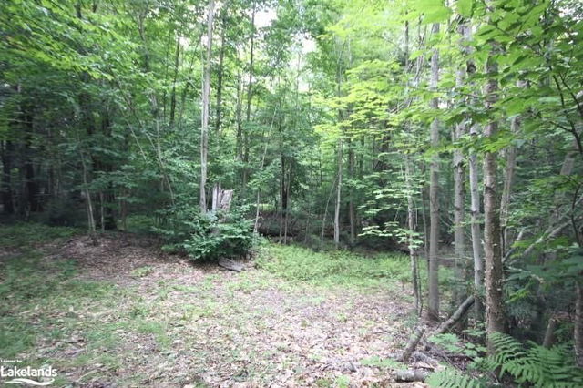 1810 Doe Lake Road