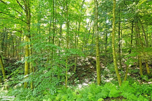 5 Arrow Ridge Road