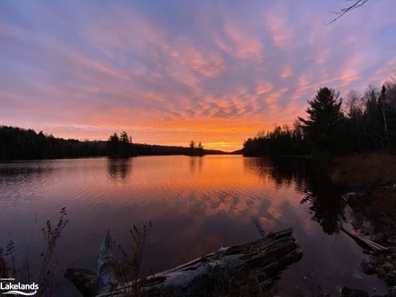 LOT 25 Debois Lake