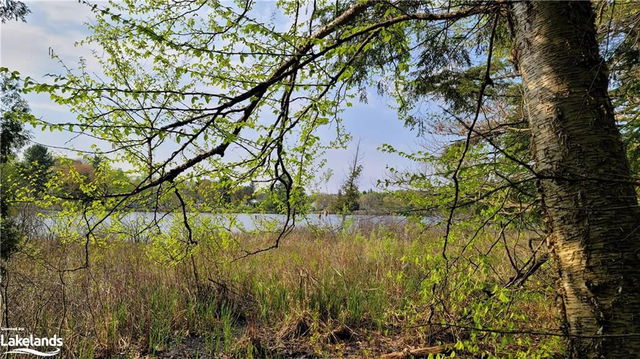 LOT4 SEGUIN RIV Louisa Street