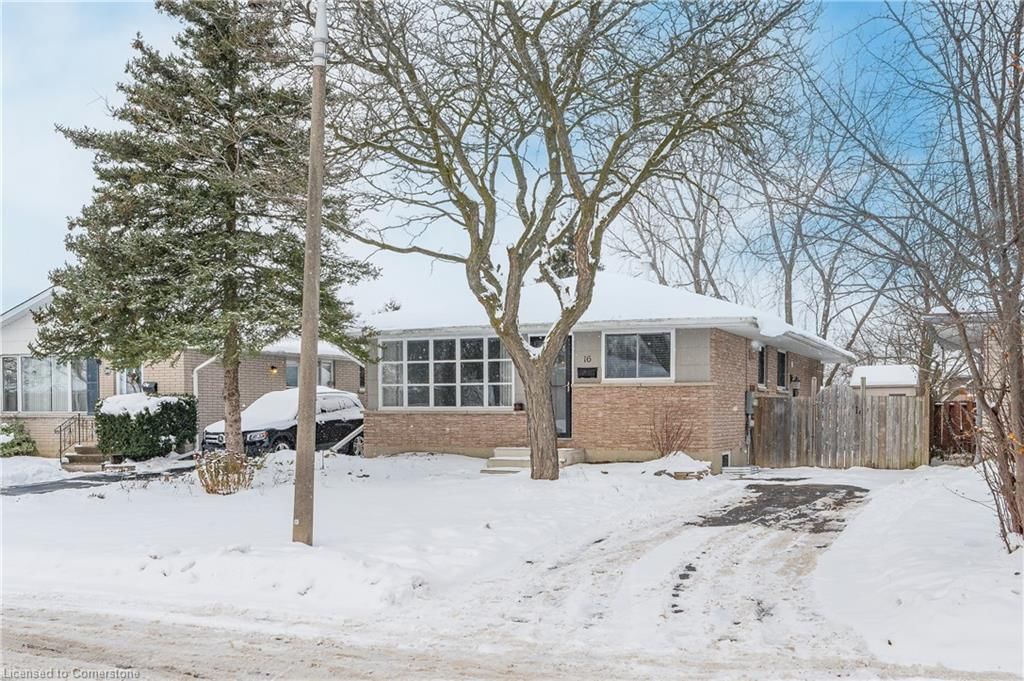 Single Family Residence for sale at 16 Overlea Crescent, Kitchener, Forest Hill, N2M 5A9 - MLS: 40690412