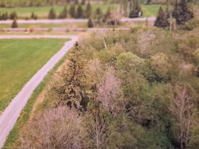 338 Old Hwy 17 Road
