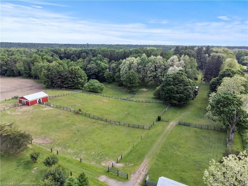 1174 Charlotteville 2 Road photo 5
