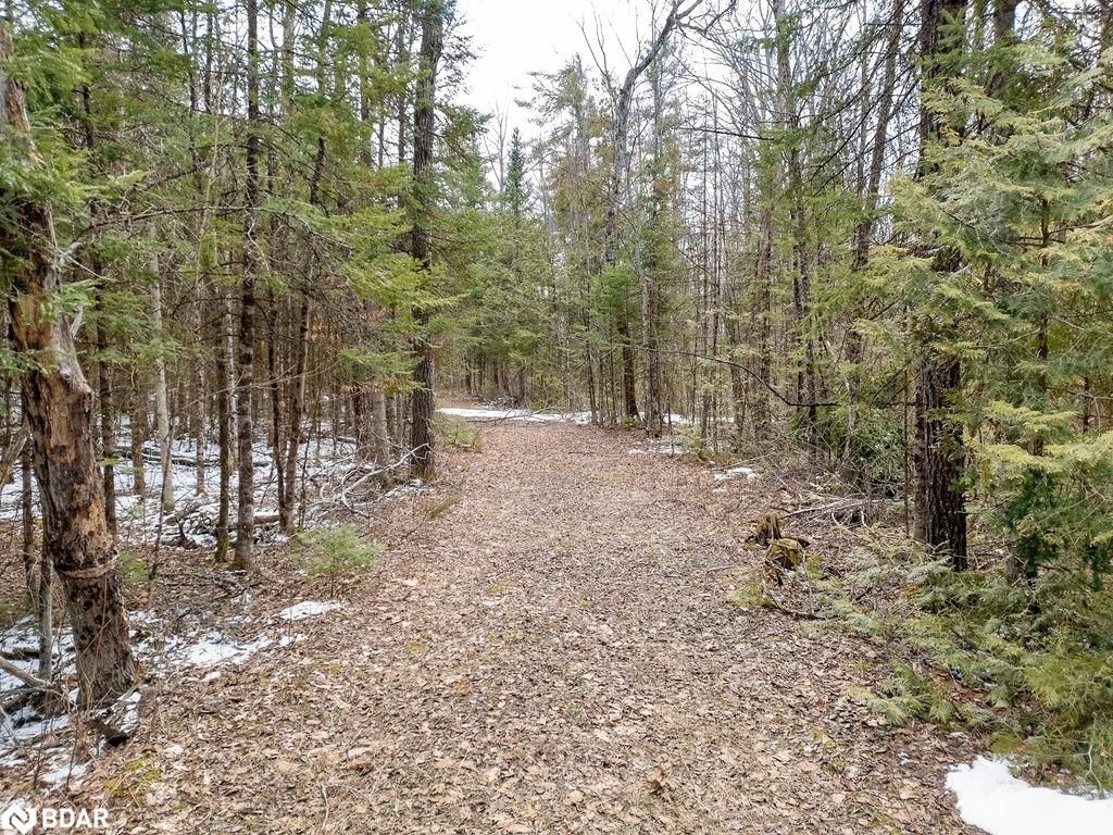 Residential sold at PT LT 24-25 Birchview Road, Lakefield, Douro Township, K0L 2H0 - MLS: 40712715
