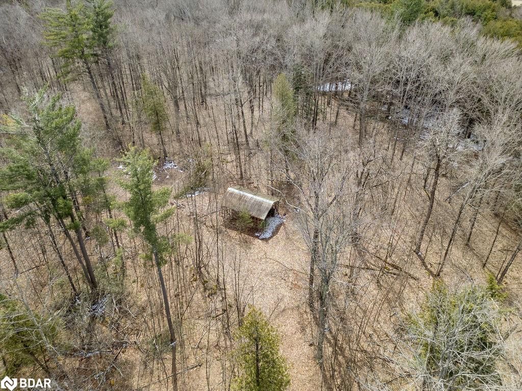 Residential sold at PT LT 24-25 Birchview Road, Lakefield, Douro Township, K0L 2H0 - MLS: 40712715