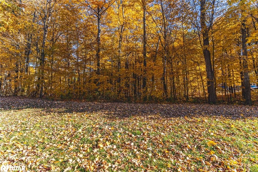 Residential for sale at 17 Maple Ridge Rd, Oro-Medonte, Craighurst, L0L 2L0 - MLS: 40714849