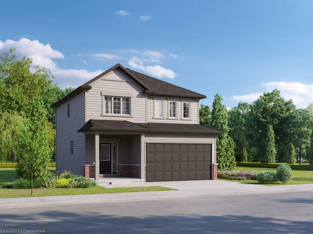 Lot 0063 - 66 Wild Chicory Street