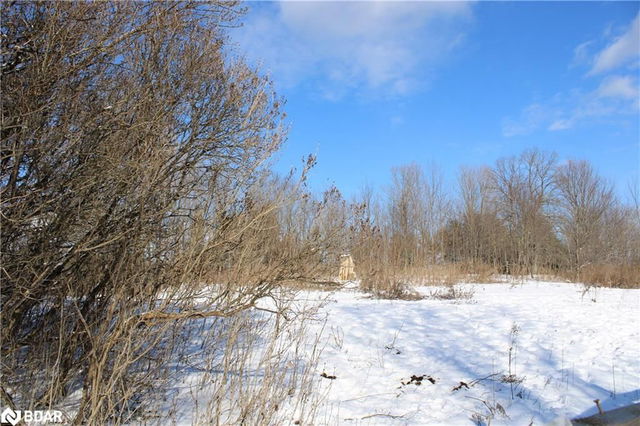 494 Twin Sisters Lake Road Road