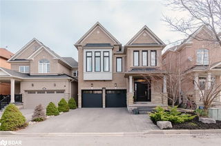 446 Black Drive