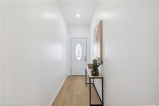 49 1/2 Earl Street