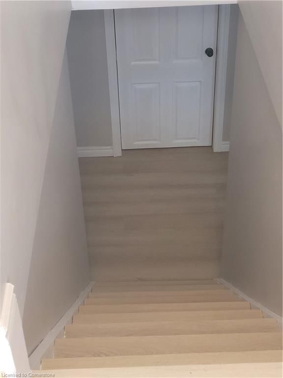 Lower - 12 Rosedale Avenue