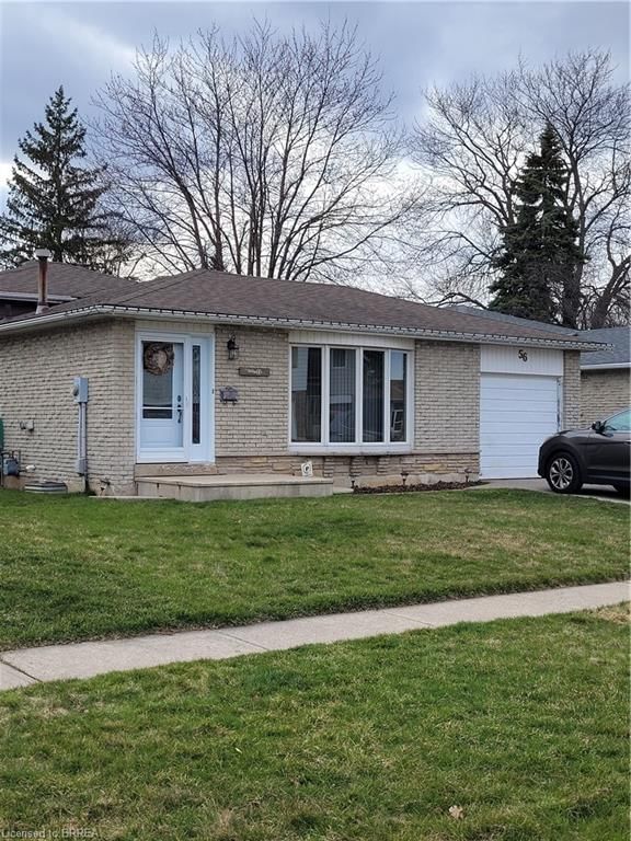 56 Abeles Avenue