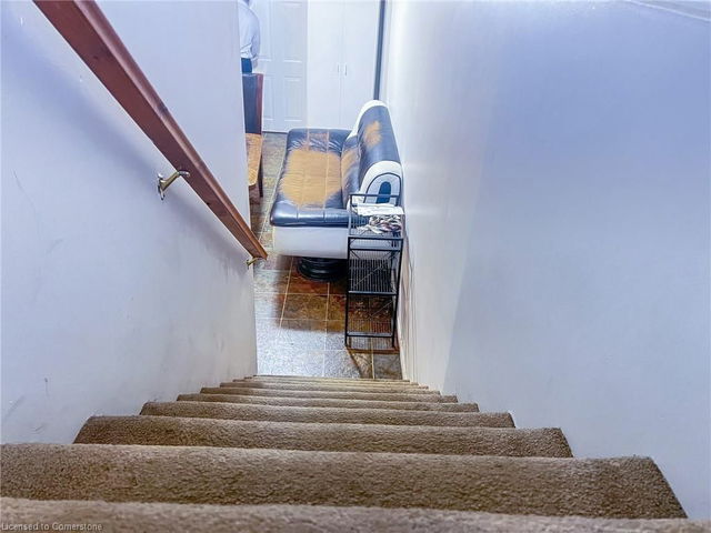 LOWER - 54 Austin Drive