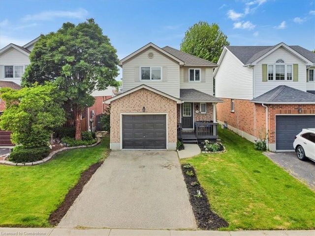 225 Pastern Trail
