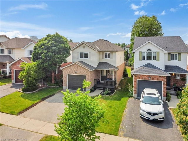 225 Pastern Trail