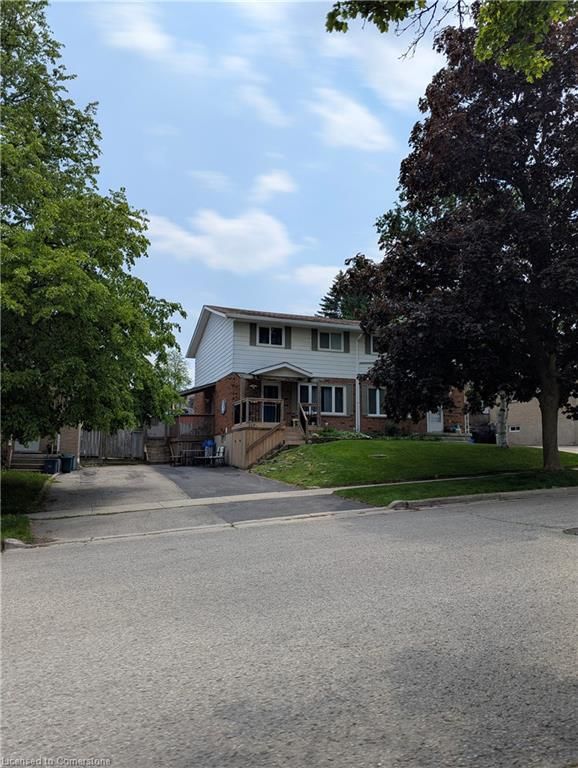 Lower - 117 Markwood Drive