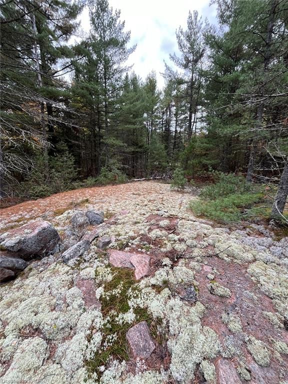 Residential for sale at PCL 9638 SEC NI Con 4, West Nipissing, ON, P0H 1R0 - Lavigne/North Monetville - MLS: 40779941