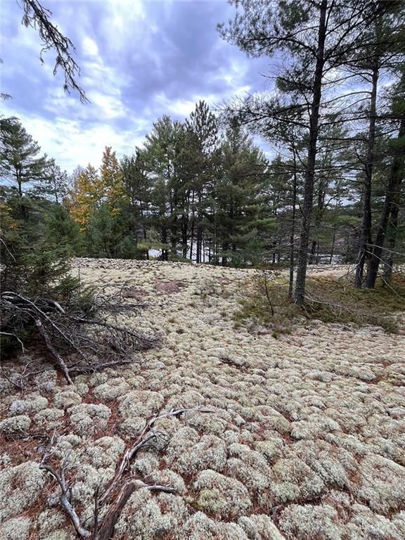 Residential for sale at PCL 9638 SEC NI Con 4, West Nipissing, ON, P0H 1R0 - Lavigne/North Monetville - MLS: 40779941