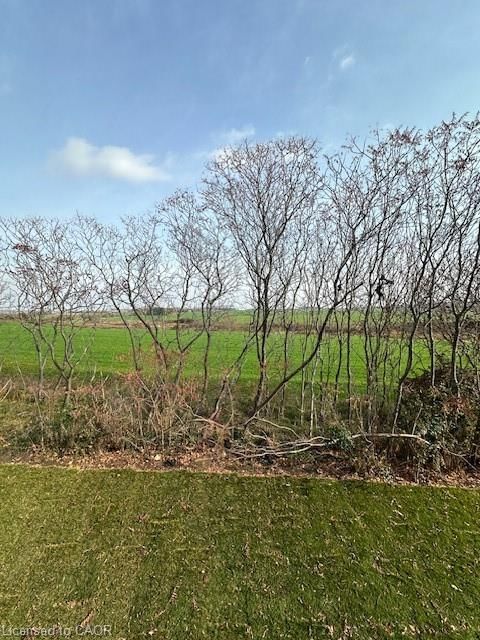 Row/Townhouse for lease at 37-40 Walker Road, Ingersoll, ON, N5C 4H3 - South - MLS: 40780448