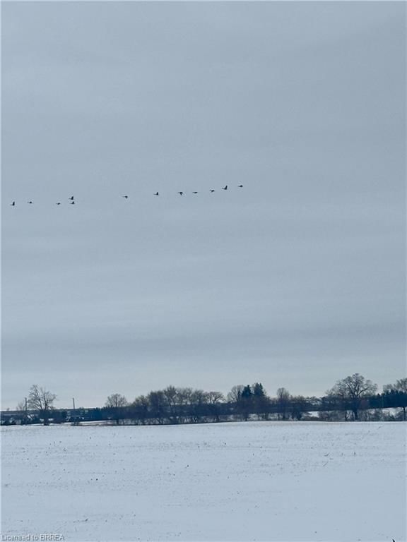 Agriculture for sale at 135 Robinson Road, Brantford, ON, N3T 5L7 - SW Rural - MLS: 40791366