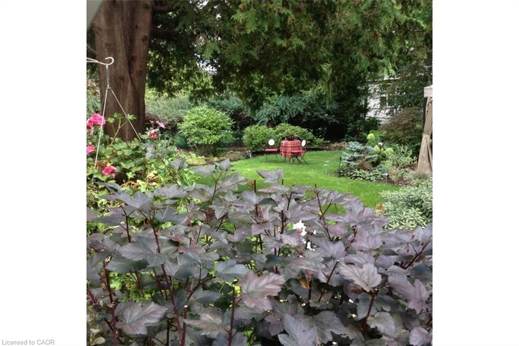 Single Family Residence for sale at 263 Hart Avenue, Burlington, ON, L7N 1P3 - Roseland - MLS: 40804733