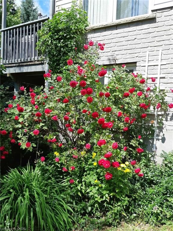 Single Family Residence for sale at 663 Heathcliffe Place, Waterloo, ON, N2T 2P3 - Westvale - MLS: 40809378