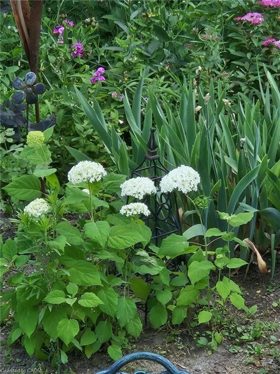 Single Family Residence for sale at 663 Heathcliffe Place, Waterloo, ON, N2T 2P3 - Westvale - MLS: 40809378