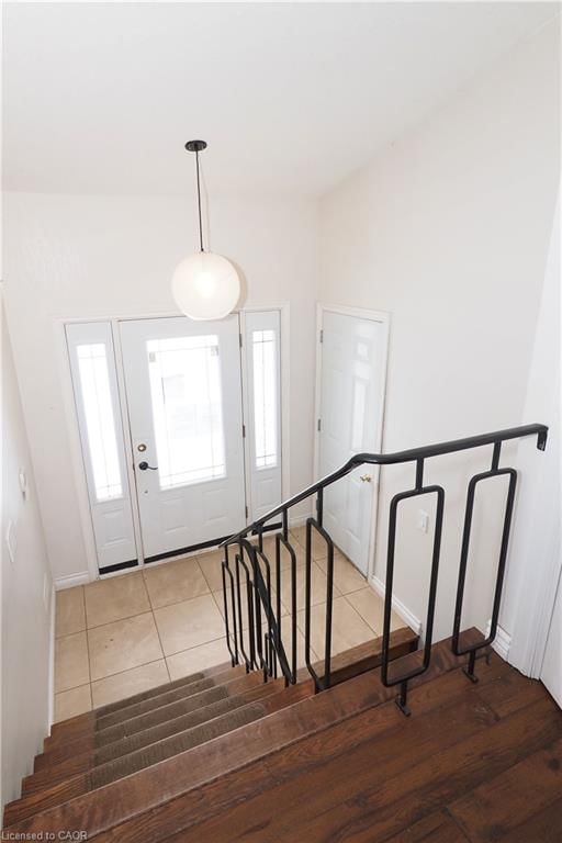 11 Norbert Place