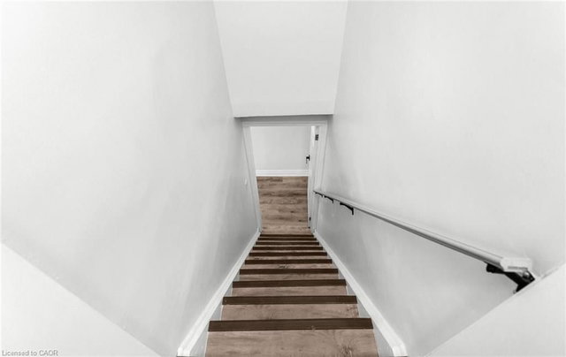 Lower - 313 Ashbury Road