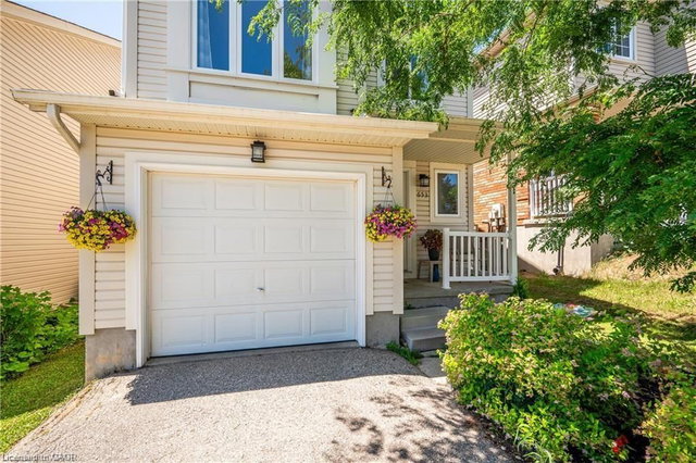 653 Royal Fern Street