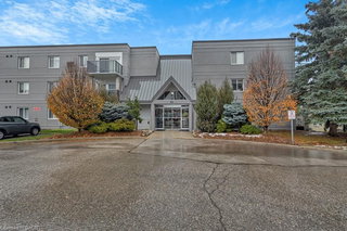 302 - 163 Ferguson Drive