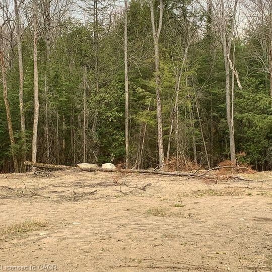 5 Mountain Basin Drive photo 4