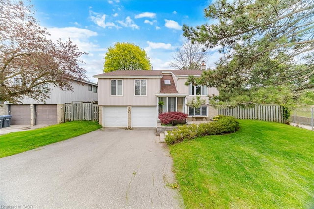 41 Plainsman Road