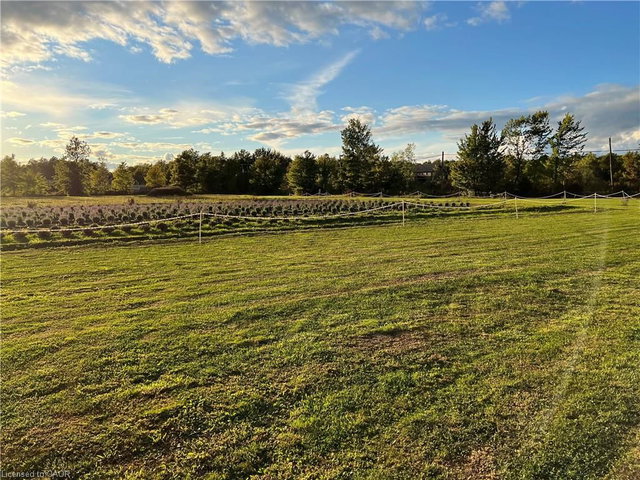 3359 Third Concession Road