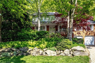 81 Reding Road