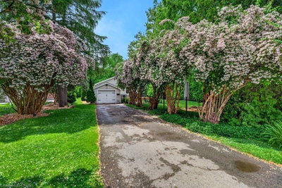 52 Orchard Drive