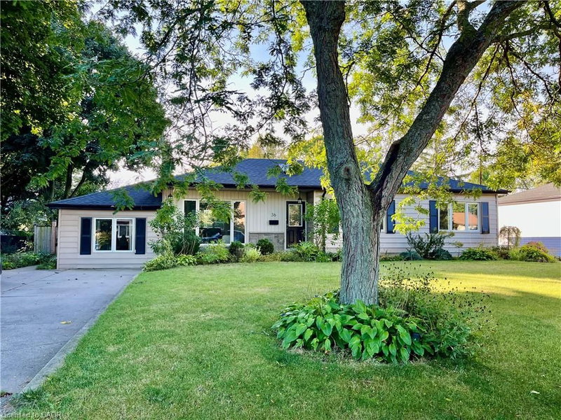 Lower - 36 Gilbert Avenue