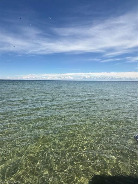LOT 238 Snake Island