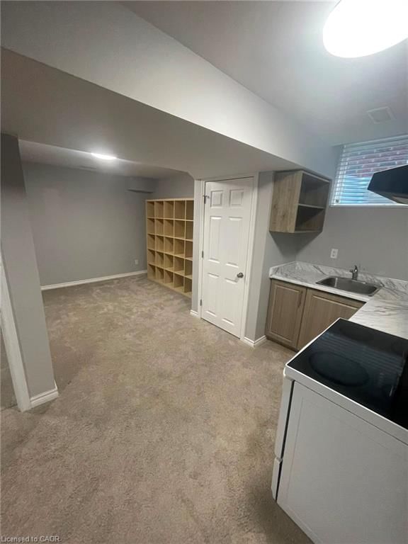 Basement - 45 Bowen Drive