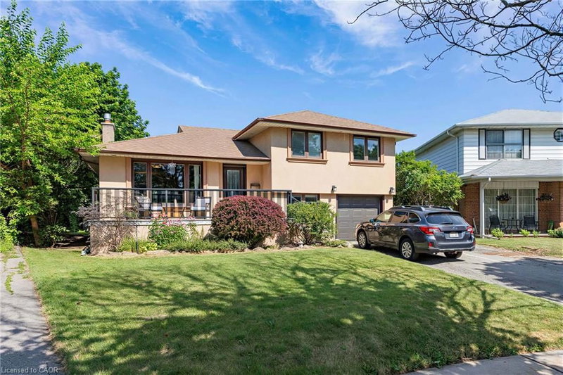 88 Rabbit Lane