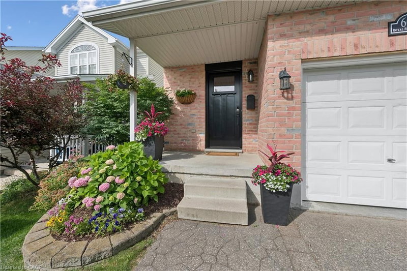 607 Royal Fern Street