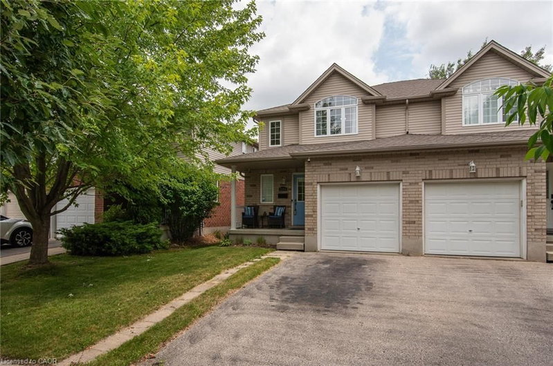 384 Pastern Trail